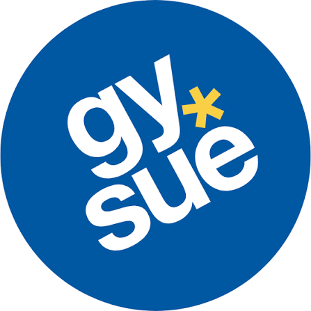 Gymnasium Süderelbe Logo